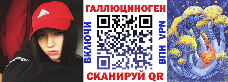 Купить закладки  Юрьев-Польский  Галлюциногенные грибы Magic Shrooms 